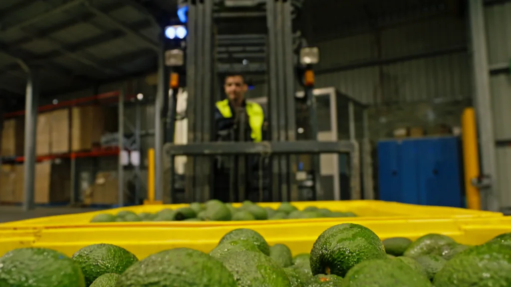 FreshTrack in Action: How Avorama Transformed Operations with FreshTrack