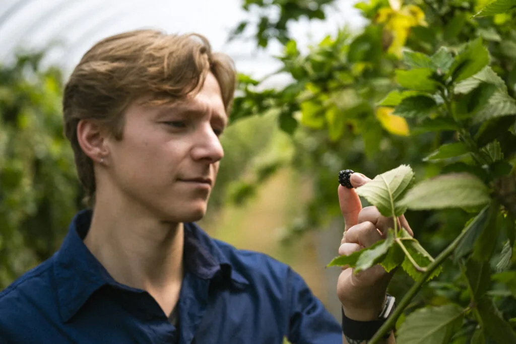 Key Trends Transforming the Berry Supply Chain
